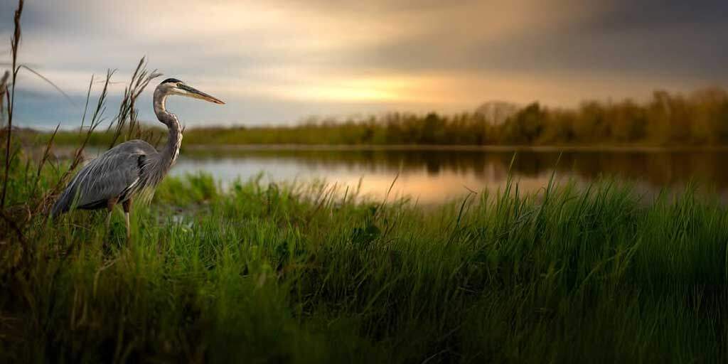 Flagler IT Services Florida landscape