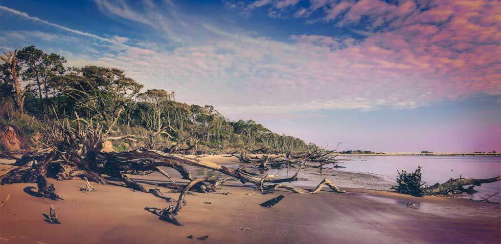 Nassau IT Services Florida Landscape