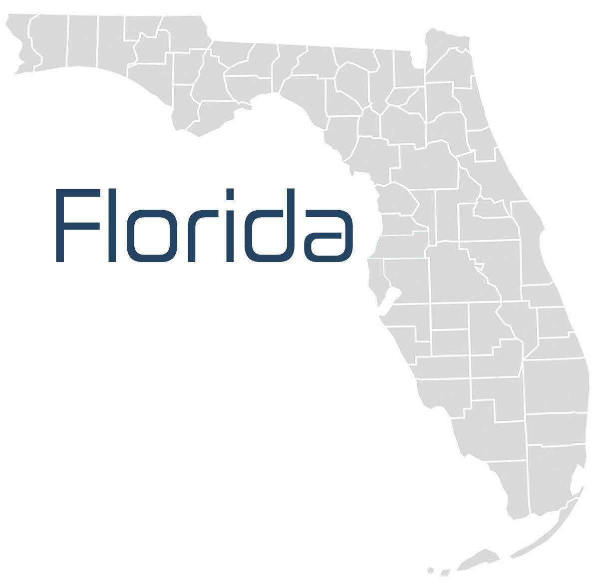 Florida IT Services