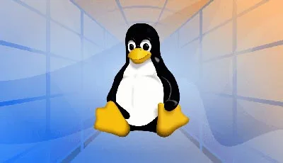 Linux Managed Services in Palm Coast Florida