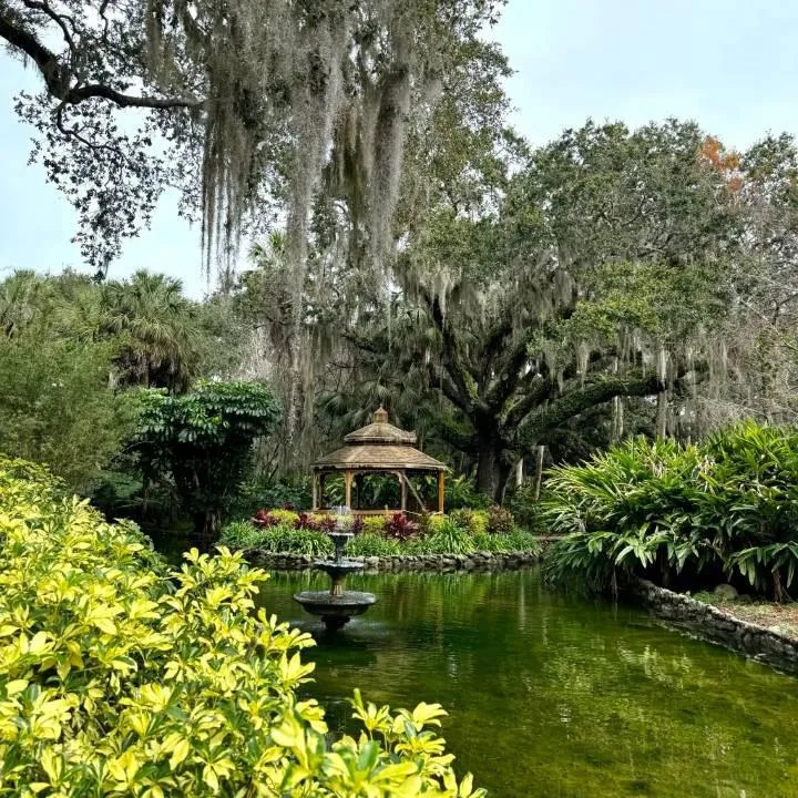 A Park in Flagler County Florida