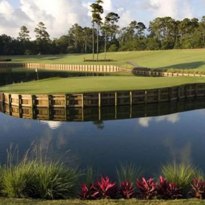 Golf Course at Sawgrass Florida