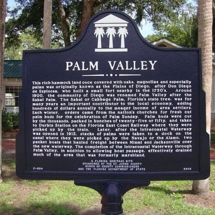 Palm Valley was once covered with Oak and Magnolias and palm trees