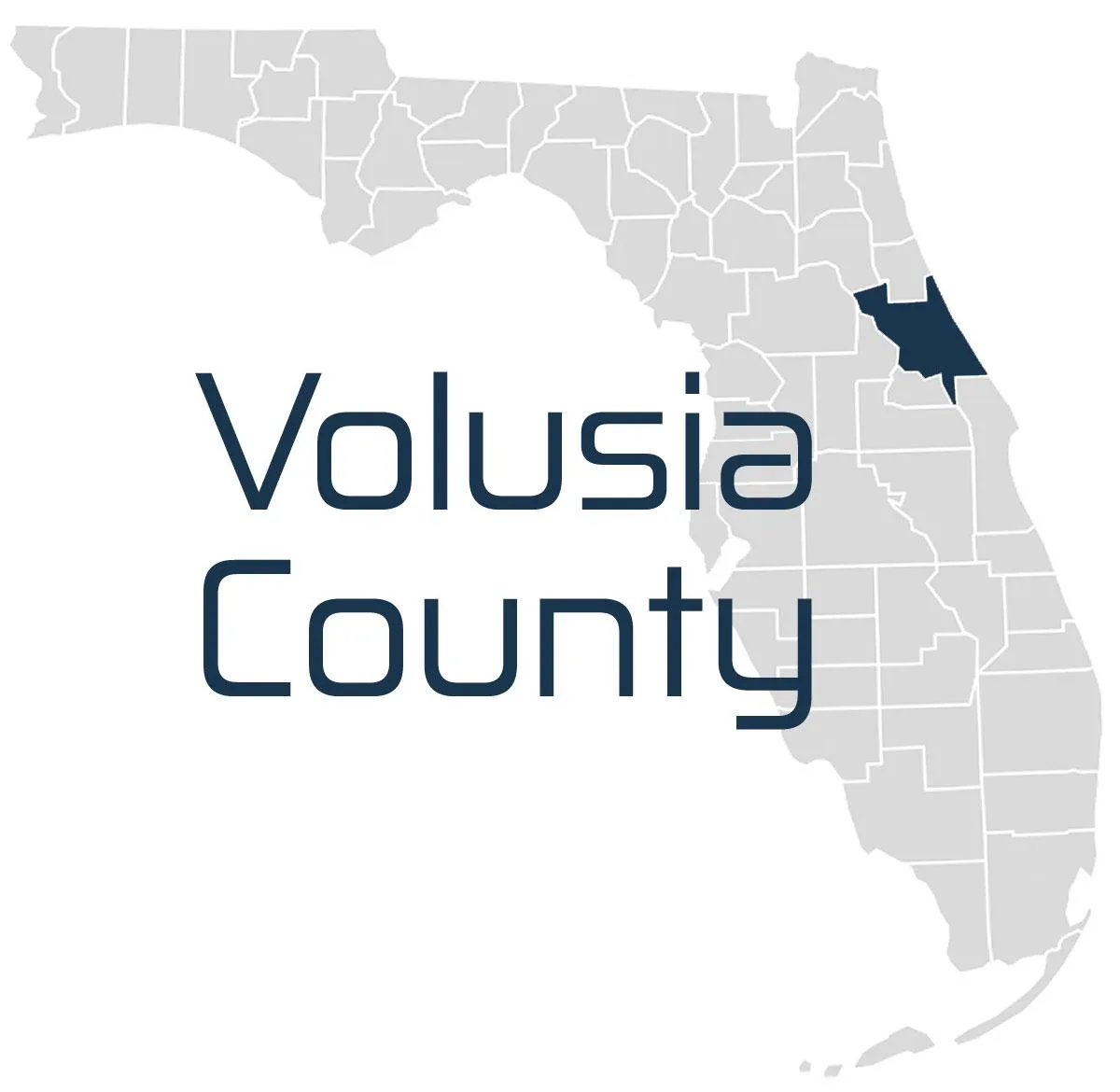 Volusia IT Services