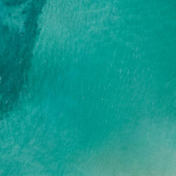 Business Atlantic Beach - beach town commercial district