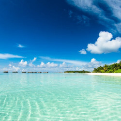 Day trips from Palm Coast - scenic Florida landscape and natural springs