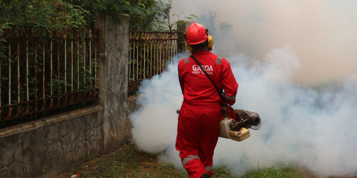 IT Services for Pest Control Companies