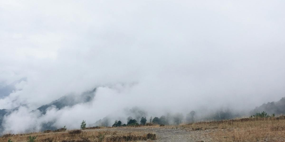 Roofing IT Services Image 2