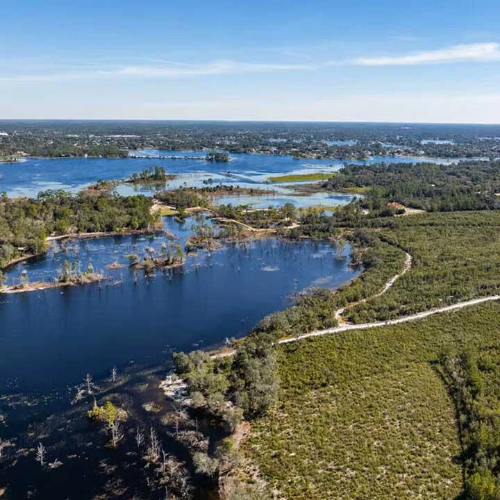 The swamp of Deltona Florida